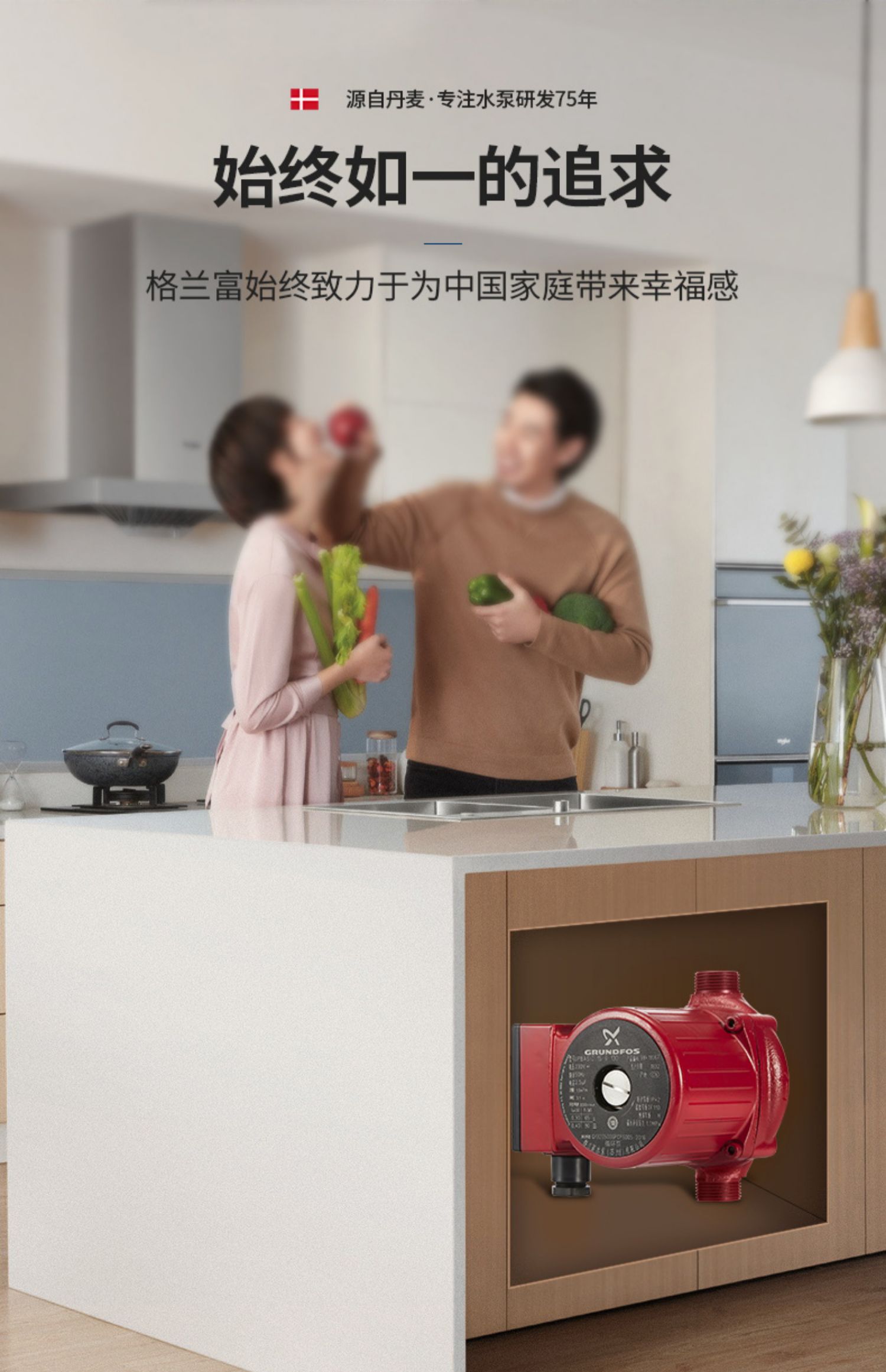 Grundfos格兰富冷热水循环泵 UPBASIC 15-6 G34 地暖暖气泵 Grundfos格兰富冷热水循环泵 UPBASIC 15-6 G34 地暖暖气泵
